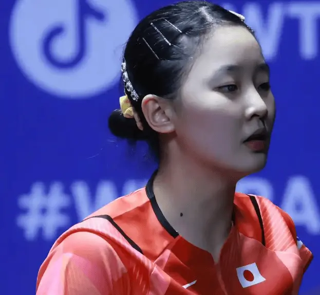 稳定的状态, 未来的中国